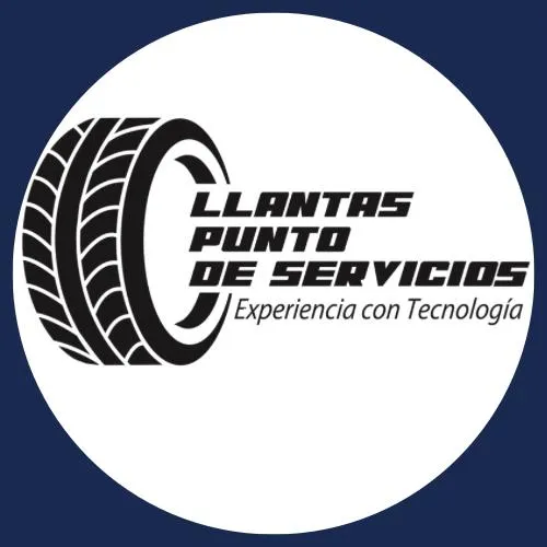 Llantas Punto de Servicios S.A.S.